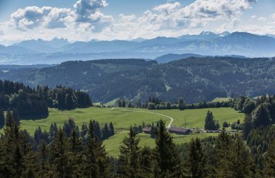 Der_Blick_vom_Schwarzen_Grat_über_die_Alpe_Wenger_Egg_in_die_Nagelfluhkette