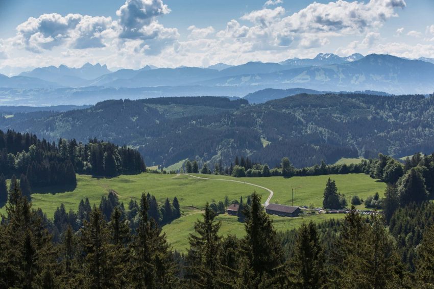 Der_Blick_vom_Schwarzen_Grat_über_die_Alpe_Wenger_Egg_in_die_Nagelfluhkette